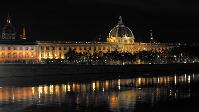 Serono Symposia: Conference on Endometrium and Embryo implantation; the hidden frontier, Lyon, 9/2010