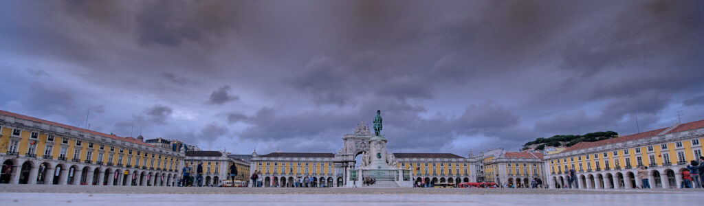 Meeting of Portuguese Society of Reproductive Medicine, Lisbon, 10/2010