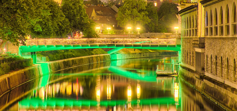 13th Annual Meeting of the Mediterranean Society for Reproductive Medicine, 5/2015, Ljubljana