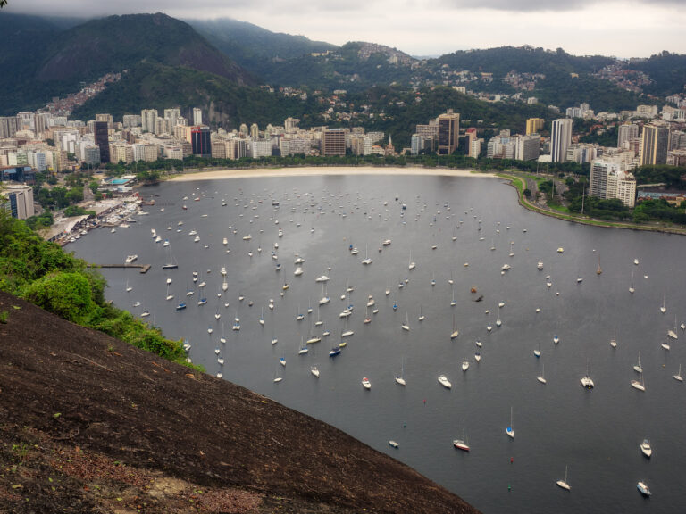 ESHRE session at the XII World Congress of Gynaecology and Obstetric, Rio de Janeiro, 10/2018