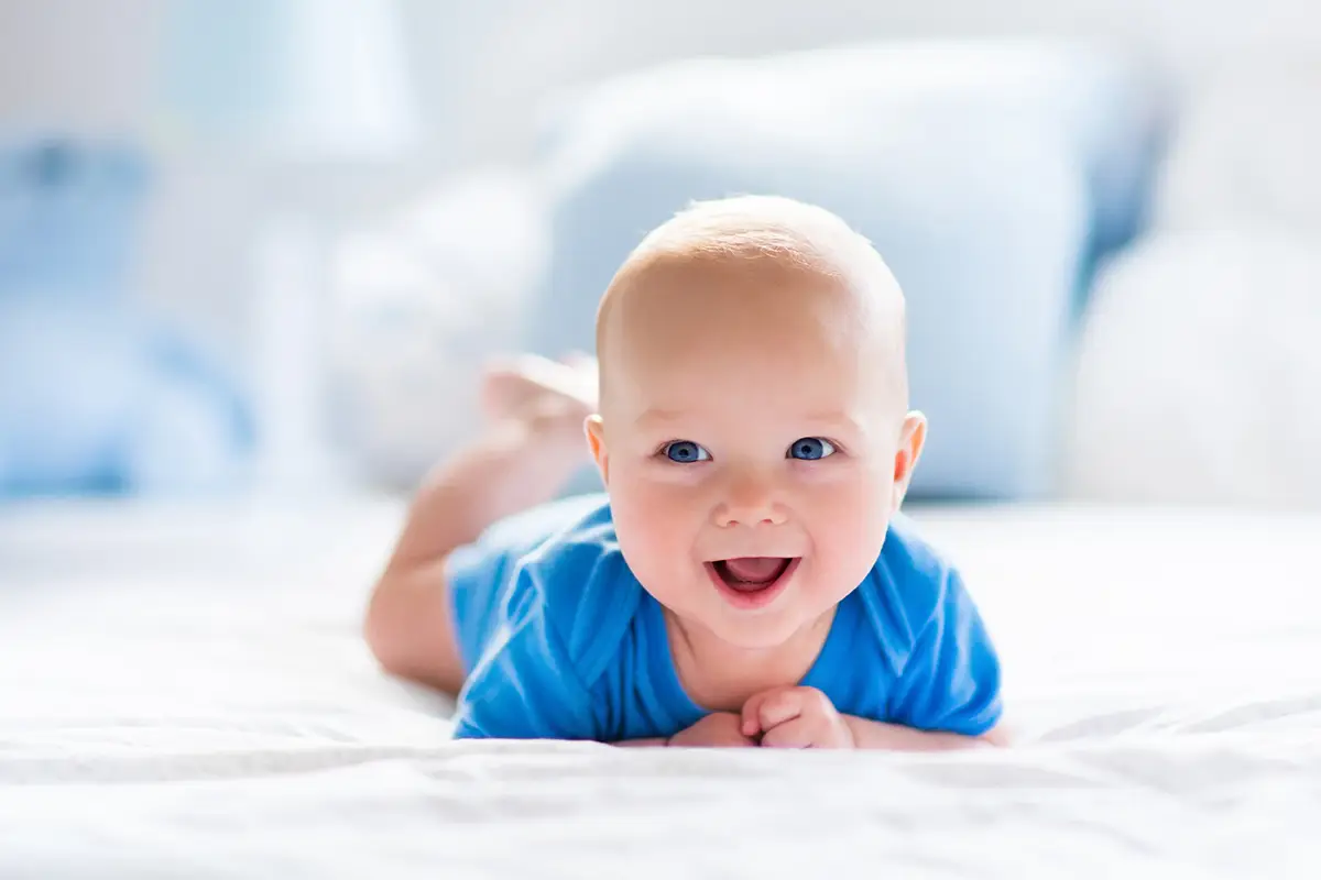 Ultrasound monitoring of a natural cycle